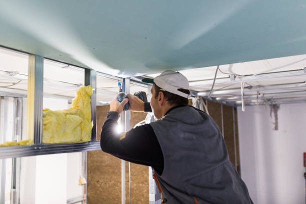 Best Residential Insulation in Lonoke, AR