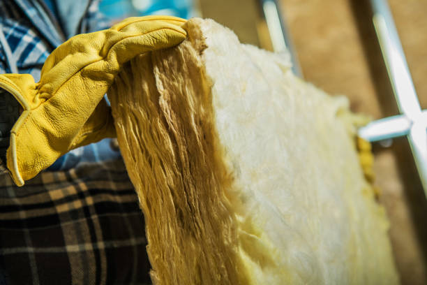 Best Specialized Insulation Services in Lonoke, AR